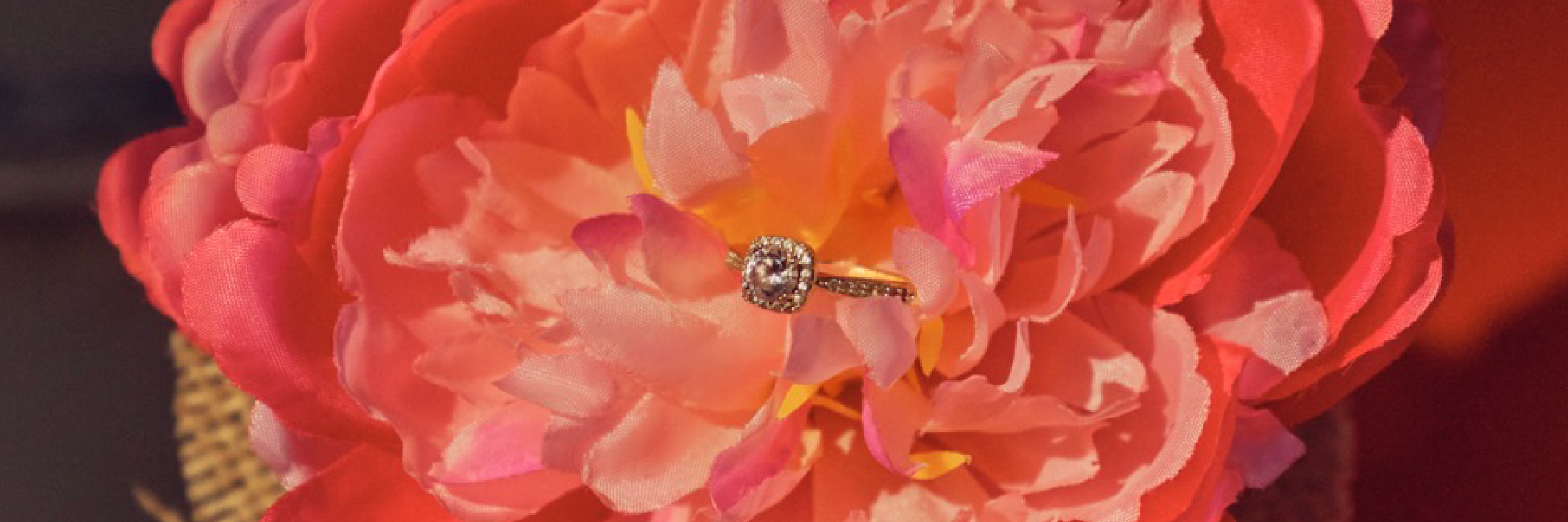 Petit manuel illustré de séduction